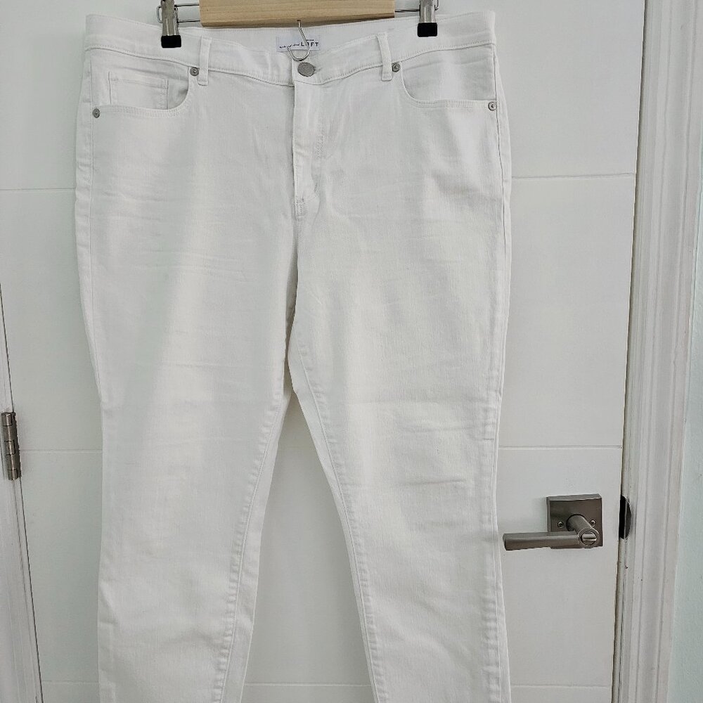 LOFT Modern Skinny Regular Hem